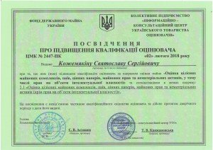 Підвищення кваліфікації оцінювача акцій Святослав