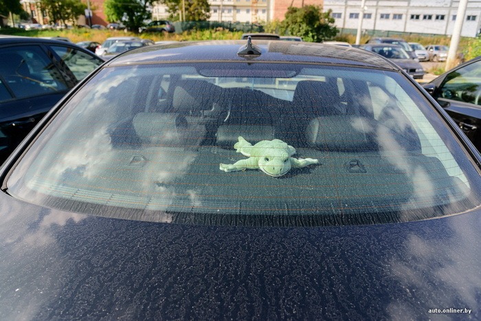 Черепаха в авто