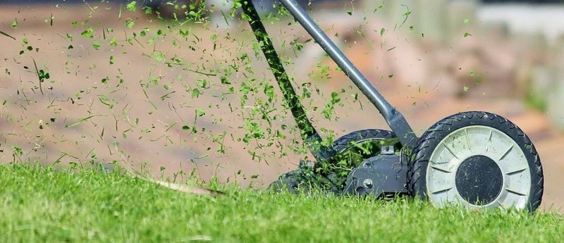 Газонокосарка стриже траву