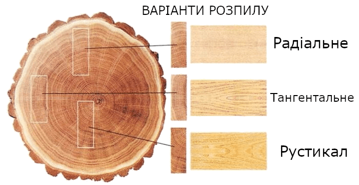 Варіанти розпилу деревини: радіальне, тангентальне, рустикал